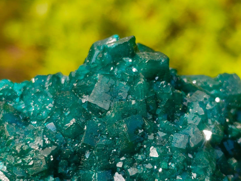 Natural Superb Museum Quality Tantara Mine Dioptase Specimen x 1 From Tantara Mine, Congo