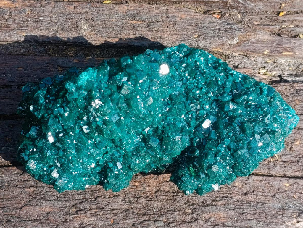 Natural Superb Museum Quality Tantara Mine Dioptase Specimen x 1 From Tantara Mine, Congo