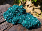 Natural Superb Museum Quality Tantara Mine Dioptase Specimen x 1 From Tantara Mine, Congo
