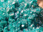 Natural Superb Museum Quality Tantara Mine Dioptase Specimen x 1 From Tantara Mine, Congo