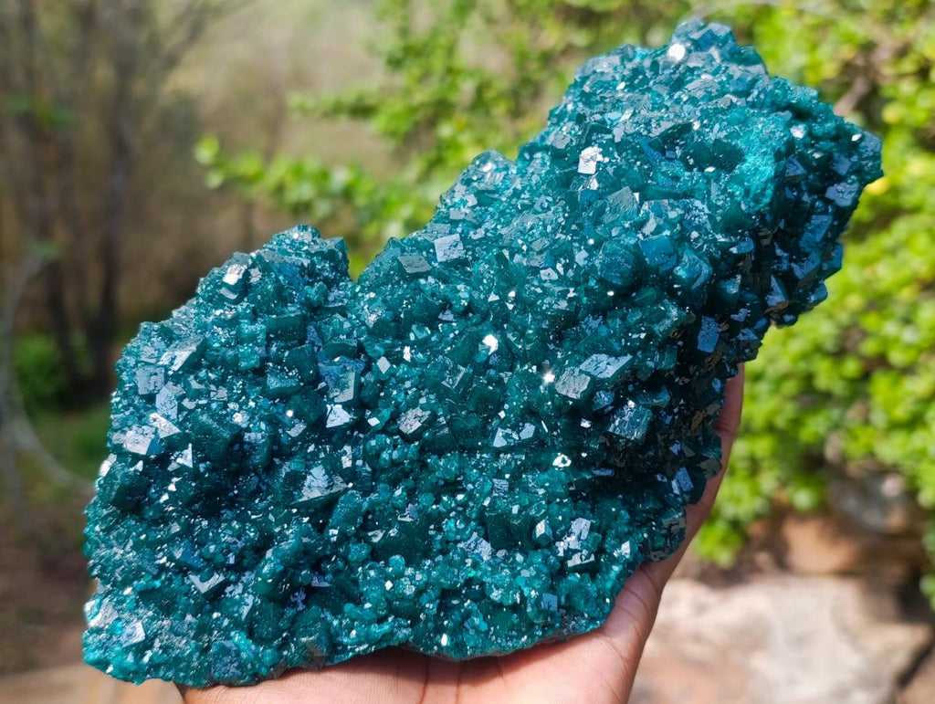 Natural Superb Museum Quality Tantara Mine Dioptase Specimen x 1 From Tantara Mine, Congo
