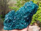 Natural Superb Museum Quality Tantara Mine Dioptase Specimen x 1 From Tantara Mine, Congo