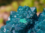 Natural Superb Museum Quality Tantara Mine Dioptase Specimen x 1 From Tantara Mine, Congo