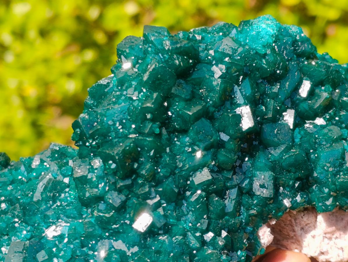 Natural Superb Museum Quality Tantara Mine Dioptase Specimen x 1 From Tantara Mine, Congo