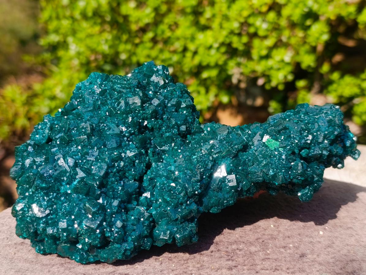 Natural Superb Museum Quality Tantara Mine Dioptase Specimen x 1 From Tantara Mine, Congo