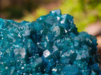 Natural Superb Museum Quality Tantara Mine Dioptase Specimen x 1 From Tantara Mine, Congo