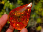 Hand Made Outstandingly Bright Fossil Amber Pendant on an 14 Carat Gold Bezel x 1 From Poland
