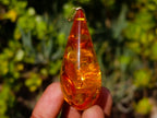 Hand Made Outstandingly Bright Fossil Amber Pendant on an 14 Carat Gold Bezel x 1 From Poland