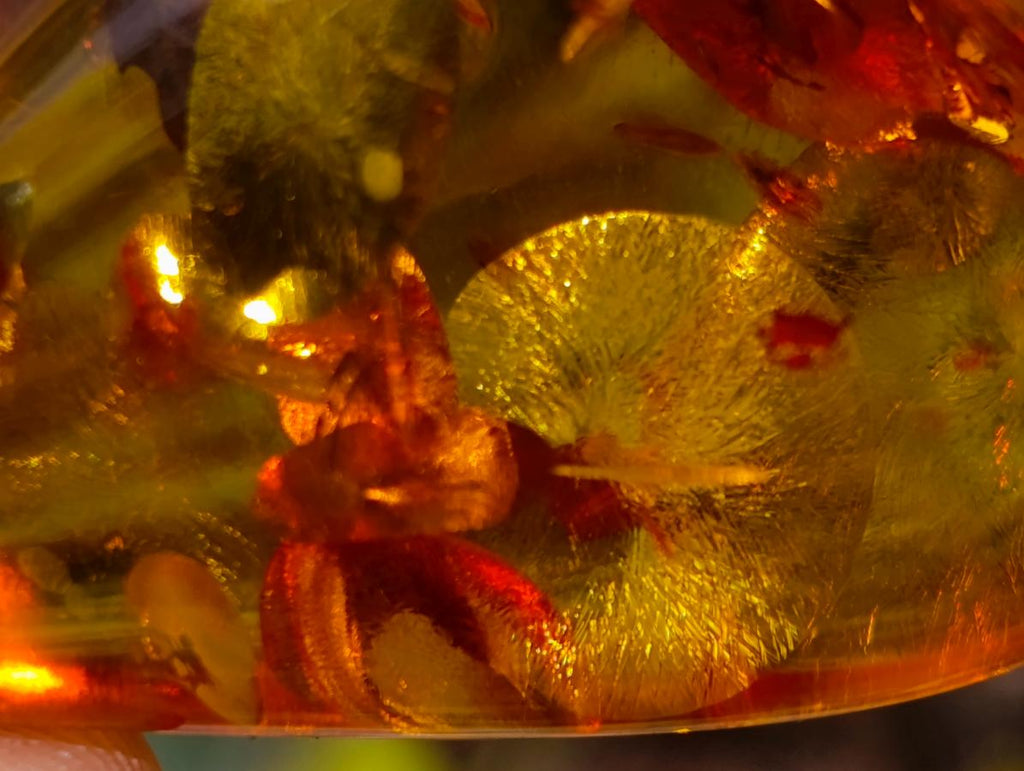 Hand Made Outstandingly Bright Fossil Amber Pendant on an 14 Carat Gold Bezel x 1 From Poland