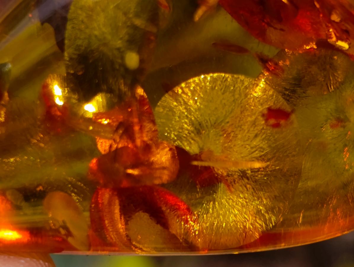 Hand Made Outstandingly Bright Fossil Amber Pendant on an 14 Carat Gold Bezel x 1 From Poland