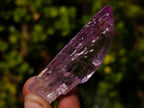 Natural Bright and Beautiful Pink Kunzite Gemmy Crystal x 1 From Afghanistan