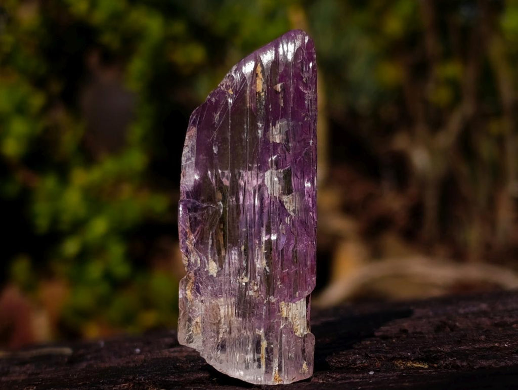 Natural Bright and Beautiful Pink Kunzite Gemmy Crystal x 1 From Afghanistan