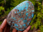 Polished Large Unusual Shattuckite Display Free Form x 1 From Kaokoveld, Namibia