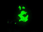Natural Fluorescent Hyalite Crystalline Opal with Schorl Black Tourmaline Crystal Cluster x 1 From Erongo, Namibia