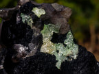 Natural Fluorescent Hyalite Crystalline Opal with Schorl Black Tourmaline Crystal Cluster x 1 From Erongo, Namibia