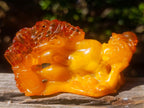 Polished Fossil Amber Carved Sleeping Princess on a Hardwood Base x 1 From Poland