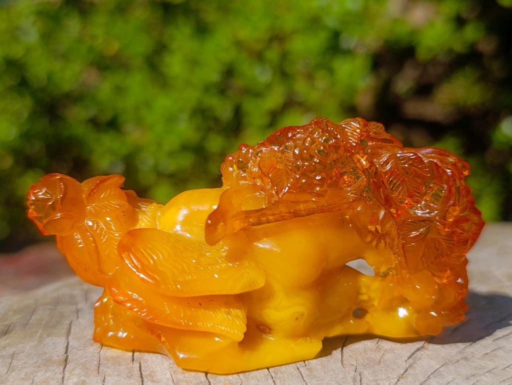 Polished Fossil Amber Carved Sleeping Princess on a Hardwood Base x 1 From Poland