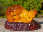 Polished Fossil Amber Carved Sleeping Princess on a Hardwood Base x 1 From Poland