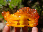 Polished Fossil Amber Carved Sleeping Princess on a Hardwood Base x 1 From Poland