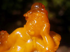 Polished Fossil Amber Carved Sleeping Princess on a Hardwood Base x 1 From Poland