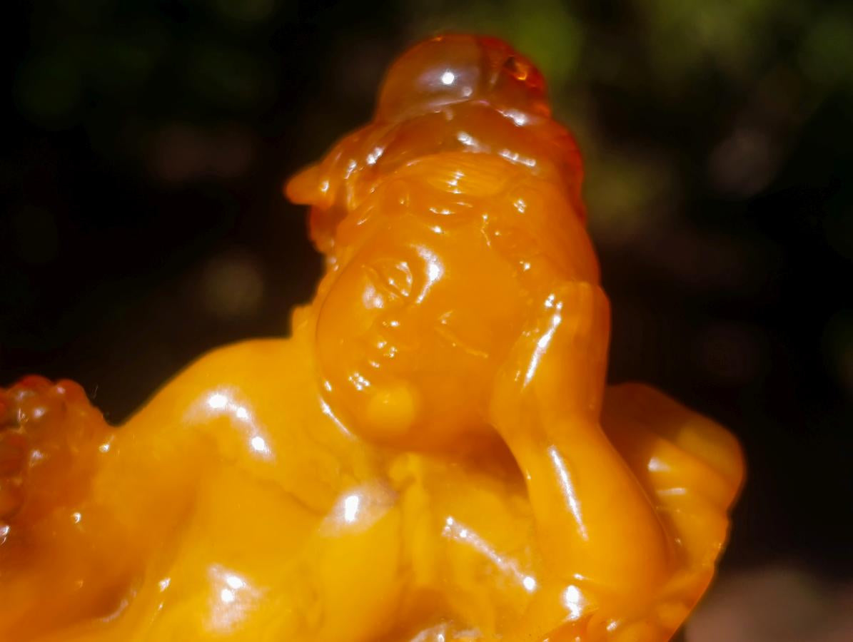 Polished Fossil Amber Carved Sleeping Princess on a Hardwood Base x 1 From Poland