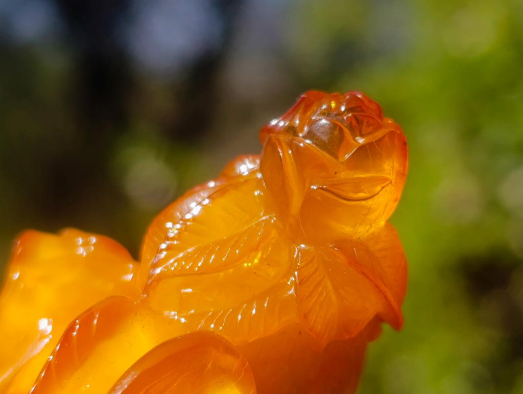 Polished Fossil Amber Carved Sleeping Princess on a Hardwood Base x 1 From Poland