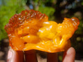 Polished Fossil Amber Carved Sleeping Princess on a Hardwood Base x 1 From Poland