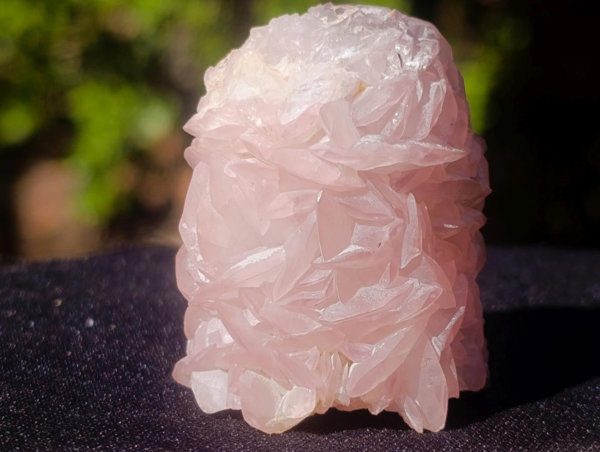 Natural Rare Pink Smithsonite Stalagmite Specimen x 1 From Tsumeb, Namibia