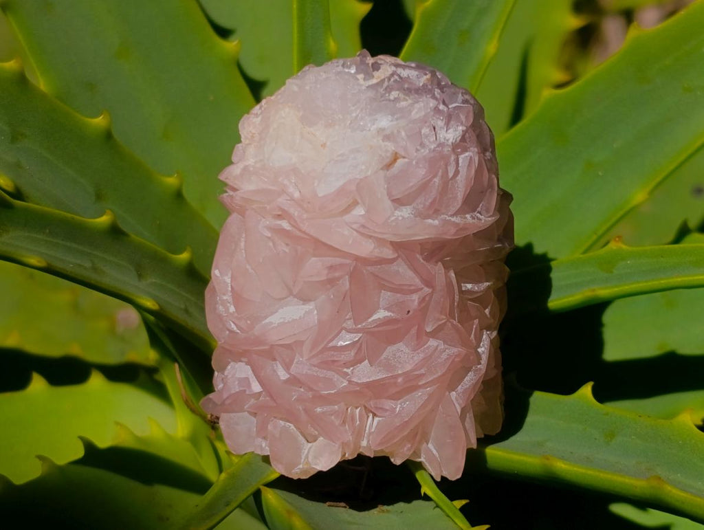Natural Rare Pink Smithsonite Stalagmite Specimen x 1 From Tsumeb, Namibia