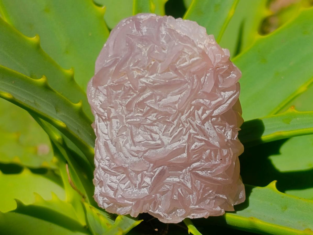 Natural Rare Pink Smithsonite Stalagmite Specimen x 1 From Tsumeb, Namibia