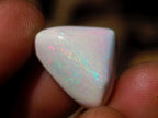 Polished Hydrophane White Opal Cabochon x 1 From Welo, Ethiopia