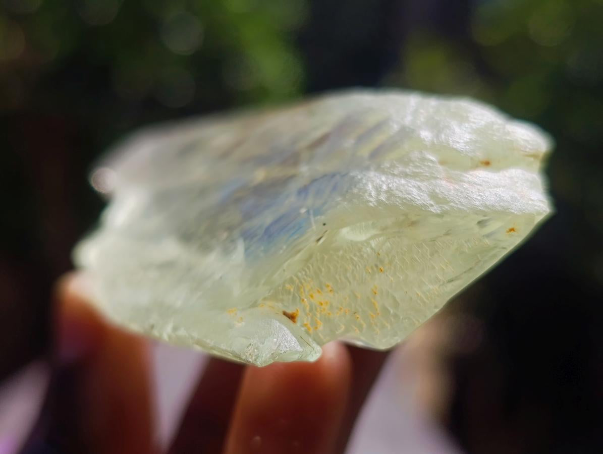 Natural Clear Yellow Green Hiddenite Spodumene Bladed Crystal x 1 From Afghanistan