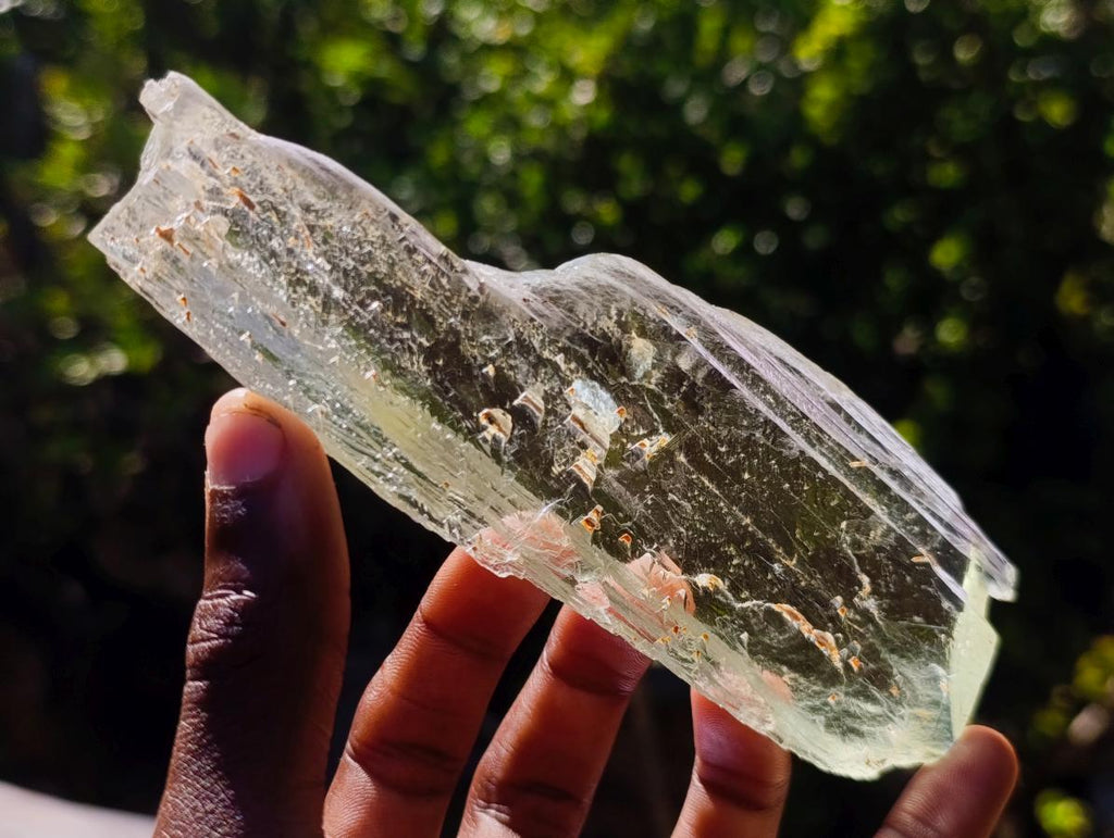 Natural Clear Yellow Green Hiddenite Spodumene Bladed Crystal x 1 From Afghanistan