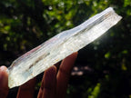 Natural Clear Yellow Green Hiddenite Spodumene Bladed Crystal x 1 From Afghanistan