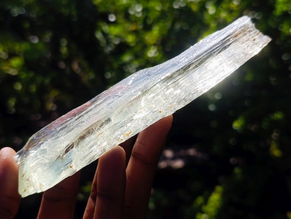 Natural Clear Yellow Green Hiddenite Spodumene Bladed Crystal x 1 From Afghanistan