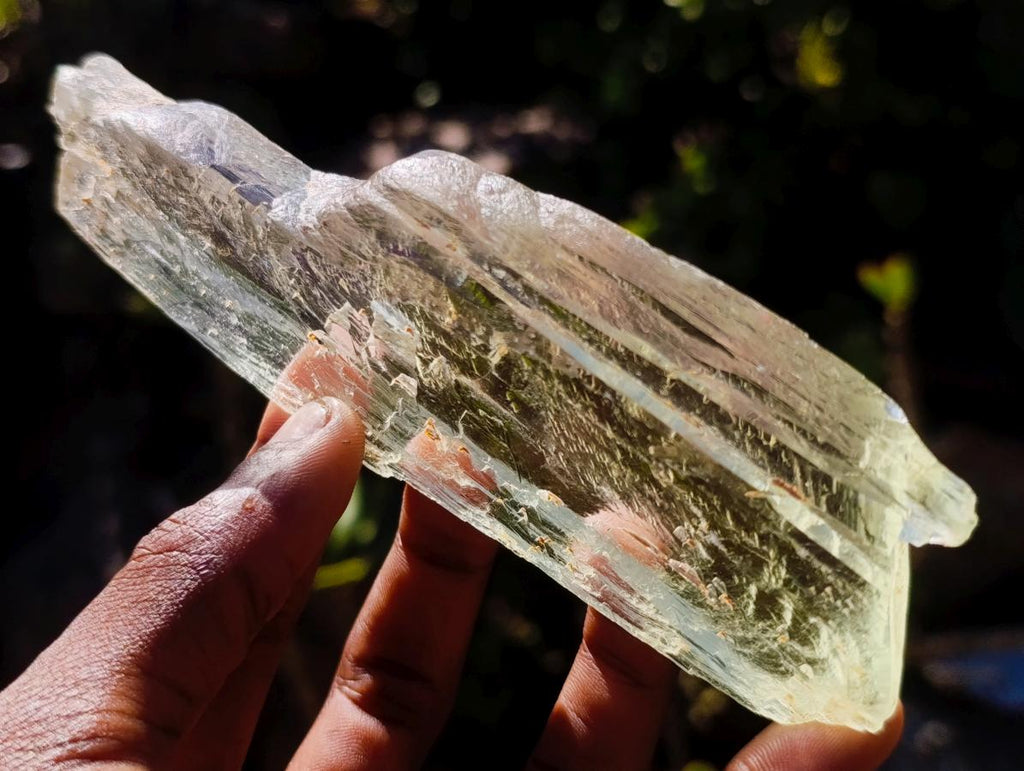 Natural Clear Yellow Green Hiddenite Spodumene Bladed Crystal x 1 From Afghanistan
