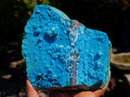 Natural High Gloss Rare Silica Chrysocolla Cabinet Specimen x 1 From Kulukuluku, Congo