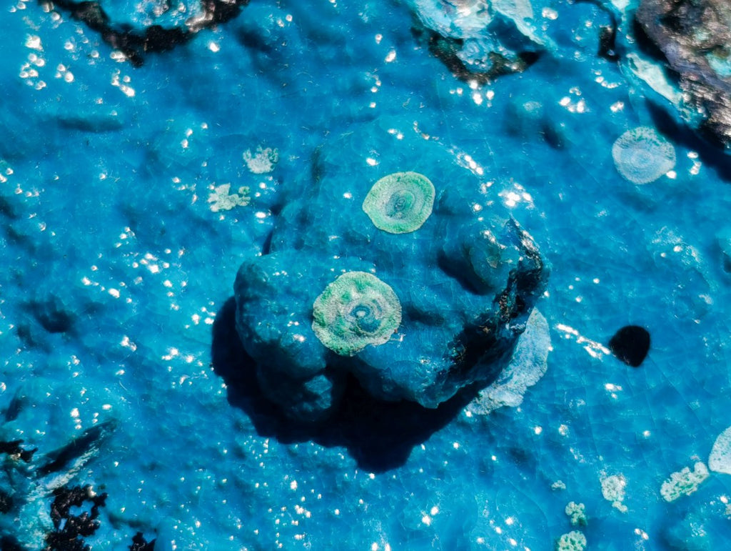 Natural High Gloss Rare Silica Chrysocolla Cabinet Specimen x 1 From Kulukuluku, Congo
