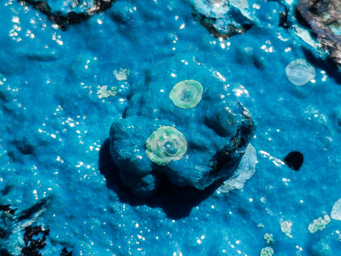 Natural High Gloss Rare Silica Chrysocolla Cabinet Specimen x 1 From Kulukuluku, Congo