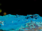 Natural High Gloss Rare Silica Chrysocolla Cabinet Specimen x 1 From Kulukuluku, Congo
