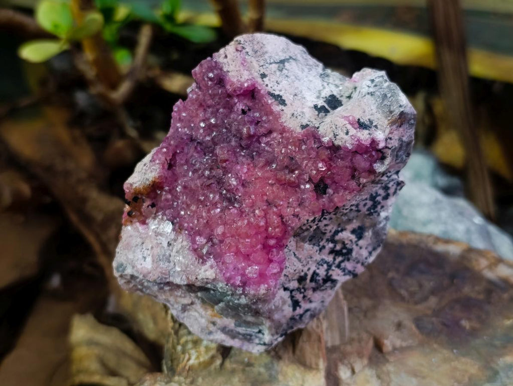 Natural Large Bright Pink Botryoidal Rhombohedral Spherocobaltite Specimen x 1 From Mashamba West Mine, Congo