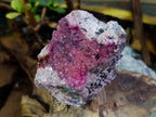 Natural Large Bright Pink Botryoidal Rhombohedral Spherocobaltite Specimen x 1 From Mashamba West Mine, Congo