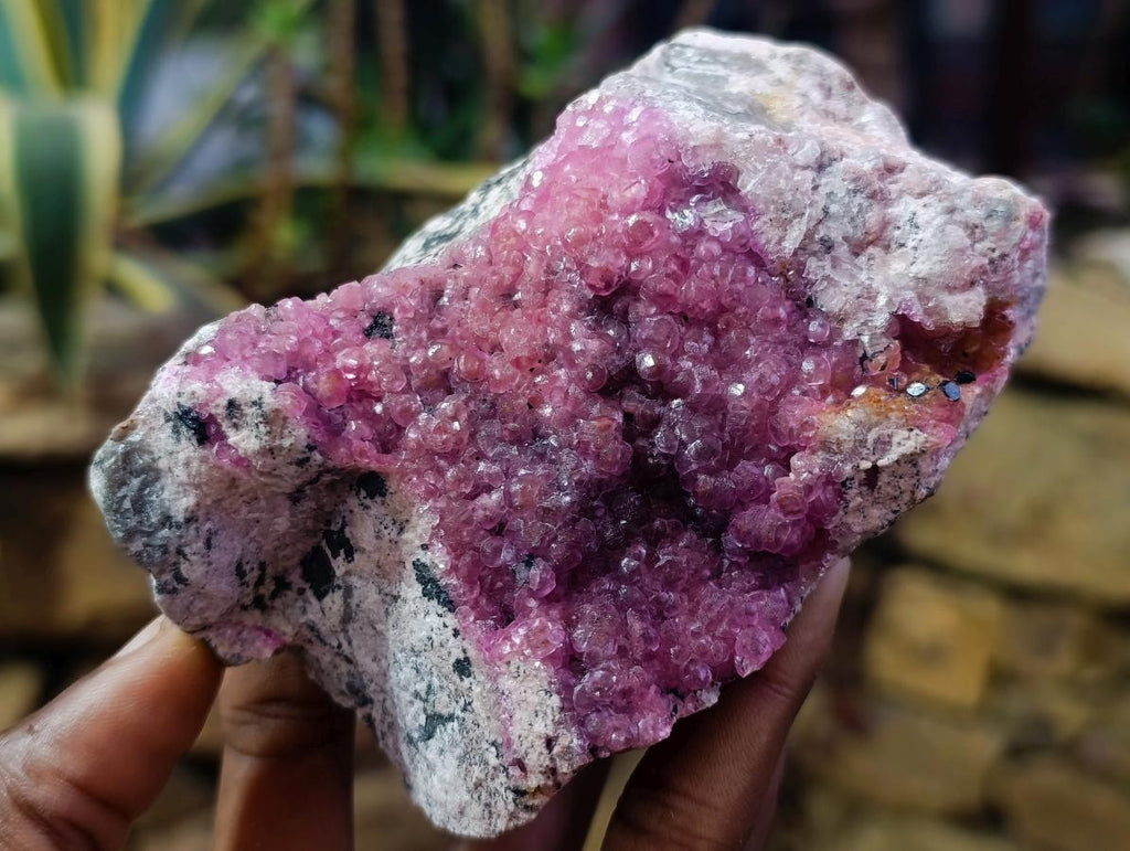 Natural Large Bright Pink Botryoidal Rhombohedral Spherocobaltite Specimen x 1 From Mashamba West Mine, Congo