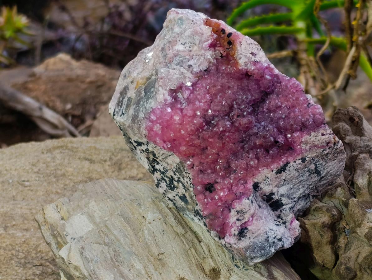 Natural Large Bright Pink Botryoidal Rhombohedral Spherocobaltite Specimen x 1 From Mashamba West Mine, Congo