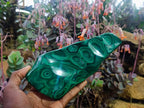 Polished Zig Zag "Eye" Ring Patterned Malachite Free Form x 1 From Kolwezi, Congo