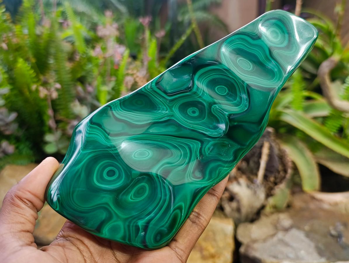 Polished Zig Zag "Eye" Ring Patterned Malachite Free Form x 1 From Kolwezi, Congo