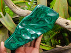 Polished Zig Zag "Eye" Ring Patterned Malachite Free Form x 1 From Kolwezi, Congo