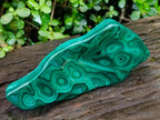 Polished Zig Zag "Eye" Ring Patterned Malachite Free Form x 1 From Kolwezi, Congo