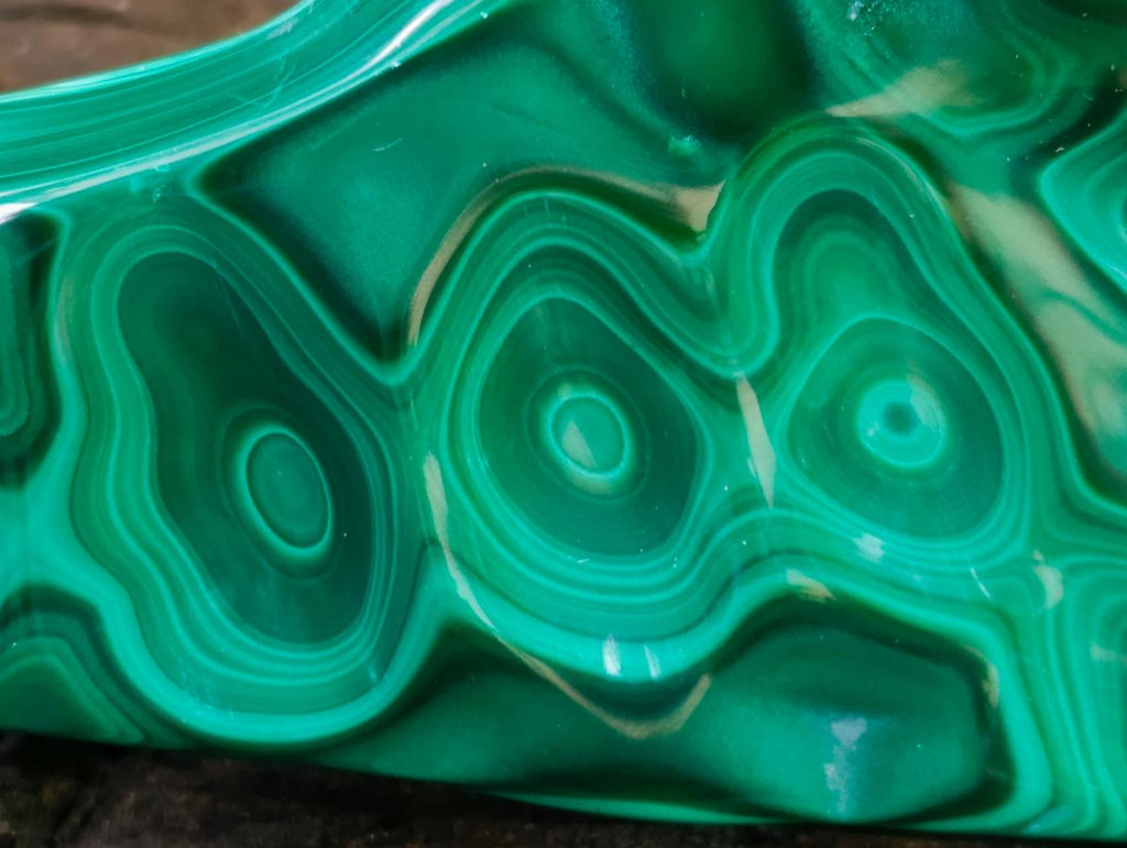 Polished Zig Zag "Eye" Ring Patterned Malachite Free Form x 1 From Kolwezi, Congo