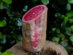 Polished Super Rare Large Argentinian Rhodochrosite Stalagmite Specimen x 1 From Capillitas Mine, Argentina